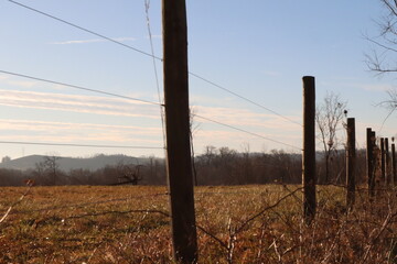 fence in the morning