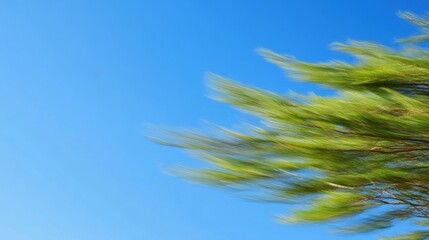 Artistic motion blur of tree branches against a blue sky
