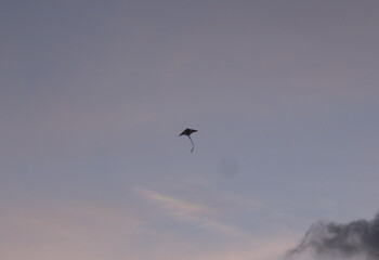 kite flying at sunset in a blue and pink sky