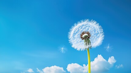 Dandelion Seed Floating in Gentle Breeze Nature Scene Hyperrealistic Imagery Clear Blue Sky Tranquil Environment