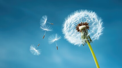 Dandelion Seeds Dancing in the Wind Nature Scene Close-Up View Serene Sky Concept of Freedom