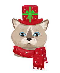Vector illustration of a cat wearing a red top hat with a gift and a scarf.