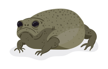 Cartoon slendermouth frog. African slendermouth amphibian animal, funny rainforest frog flat vector illustration. Cute froglet on white background