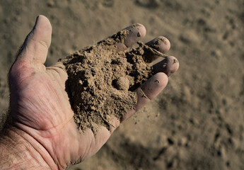 Soil in Farmers hand. Land soil prepared for planting. Farmer hold soil. Farmer checking soil on farm. Planting season. Humus Fertile earth ready for sowing. Soiling work.