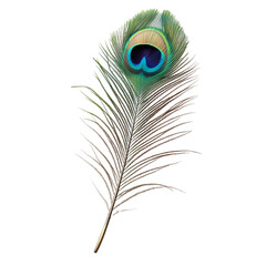 Obraz premium A Vibrant Peacock Feather against a Bold Abstract Background Stunning detail and rich colors evoke elegance and wonder