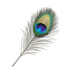 Obraz premium Vibrant Peacock Feather Abstract Art Bold Colors Nature Beauty
