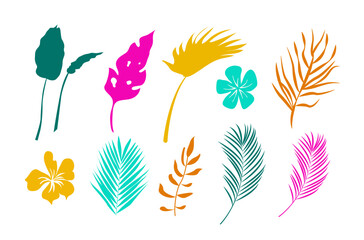 Set of tropical leaves in flat style isolated on white background. Vector illustration
