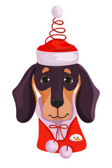 Dachshund in a Christmas Hat