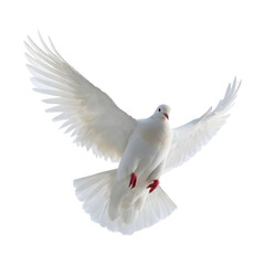 Fototapeta premium White Dove in Flight Symbolizing Peace and Freedom Isolated on a Transparent Background