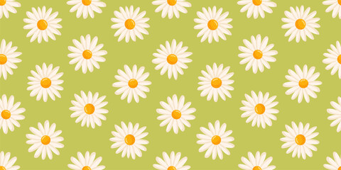 Seamless pattern with blooming daisies. Chamomile vector floral illustration for postcard, poster, fabric, wrapping paper, decor etc. Flowers for spring and summer holidays.