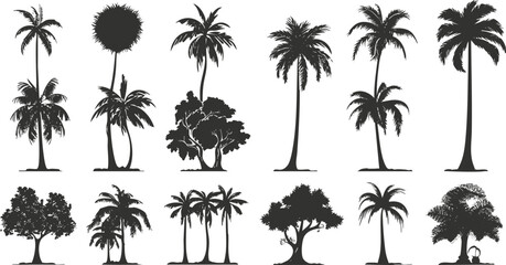 Fototapeta premium Vector set of palm tree silhouettes in black and white design.