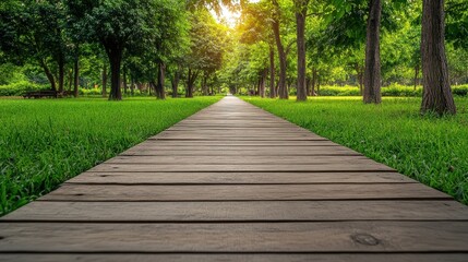 Obraz premium Scenic wooden footpath through lush green park nature photography serene environment