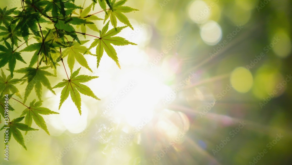 Aufkleber sunlight filtering through green leaves creates an enchanting abstract background scene