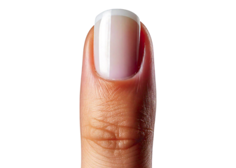 Close-up of a finger with a flawlessly manicured nail featuring a classic French tip.  The soft, neutral palette and smooth finish showcase elegance and sophistication.