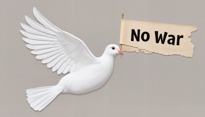 Fototapeta premium White dove holding 