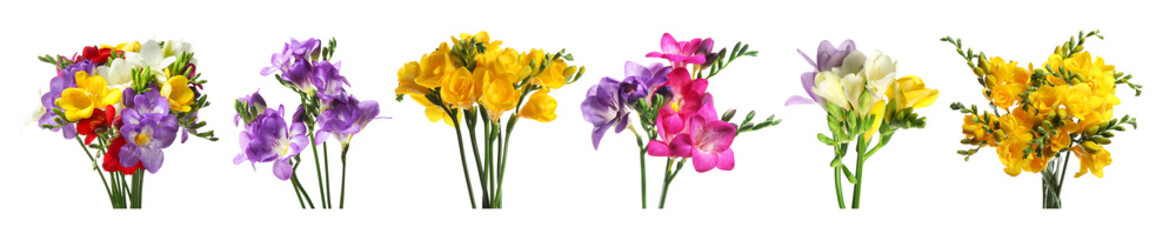 Beautiful freesia flowers on white background, set