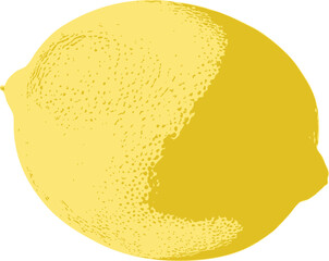 A simple yet elegant single lemon illustration, outlined in a sketch-like manner with fine texture and a soft yellow palette, ideal for modern kitchen prints.