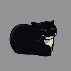 Black and white cat, illustration meme