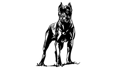 vector illustration of a dog, Cane Corso Dog Stock