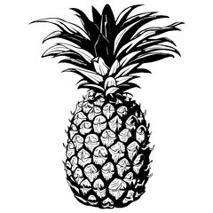 Obraz premium pineapple vector illustration, Pineapple art, Pineapple SVG, Piña 