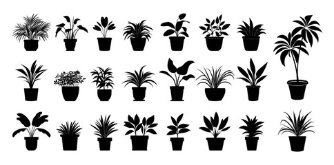 Potted plants black silhouettes. Isolated plant in pot, home decorative garden elements. Planting hobby, house office public space decorations vector set