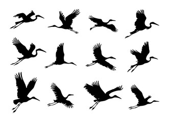 Storks flying different silhouettes. Isolated stork fly in sky, big bird with wings. Pregnancy and newborn symbols, decorative wild nature vector elements