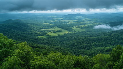 Naklejka premium Vast green valley under cloudy skies in late afternoon