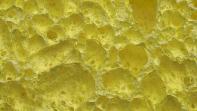 Cellulose sponge rotating in circle. Abstract background texture macro