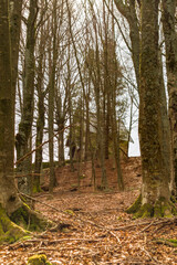 Obraz premium Chiesetta degli alpini su Monte Pizzo in appennino