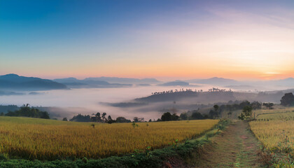 Peaceful nature morning scenery mist autumn background. Summer twilight countryside morning. Soft Pastel Colors, vivid wallpaper or background.