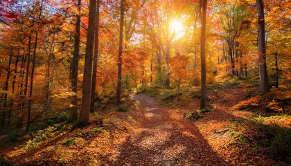 exhilarating spirit of exploration and revelation envelops one's being as they traverse resplendent tapestry of a sun-kissed woodland, ablaze with vibrant hues of autumn