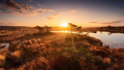 marsh at sunrise creates a magical atmosphere with its golden hues interplay of light and shadow and a feeling of awe and wonder as sun ascends over marshland