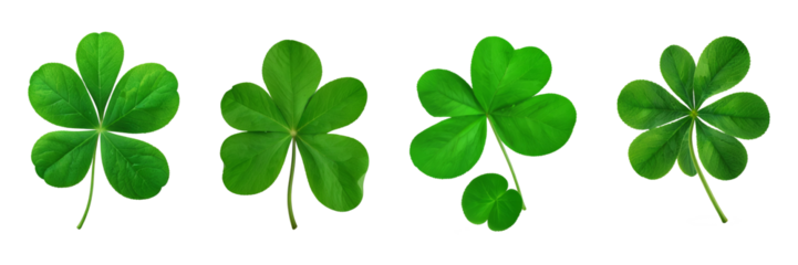  Green clover leaves.