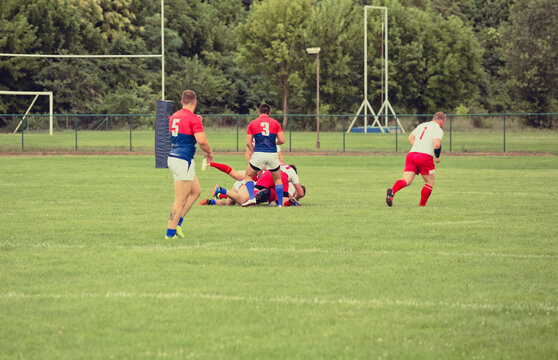 Rugby match - players in action