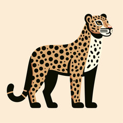 leopard vector illustration