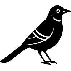 blue jay bird black silhouette vector, Simple silhouette Design vector icon with white background. Wild bird