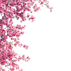 Delicate Pink Blossoms meet Bold Geometric Design Springtime Joy Abstract Art