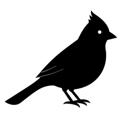 cardinal bird black silhouette vector, Simple silhouette Design vector icon with white background. Wild bird