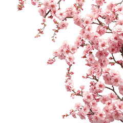 Delicate Pink Blossoms Against Bold Geometric Stripes A Vibrant Springtime Contrast