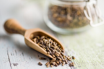 Milk thistle seeds in wooden scoop on kitchen table.