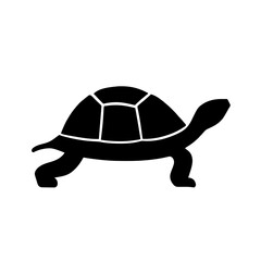 Minimalist black silhouette of a turtle with detailed shell patterns