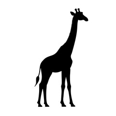 Naklejka premium Minimalist black silhouette of a giraffe with a gracefully curved neck