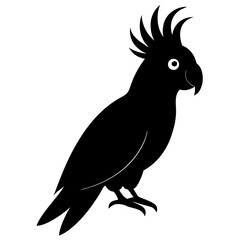 cockatoo bird black silhouette vector, Simple silhouette Design vector icon with white background. Wild bird