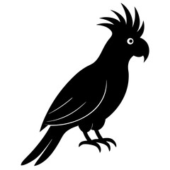 cockatoo bird black silhouette vector, Simple silhouette Design vector icon with white background. Wild bird