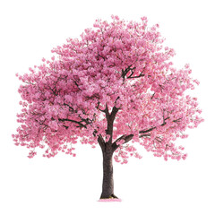 Fototapeta premium Pink Cherry Blossom Tree in Full Bloom Peaceful Spring Scenery