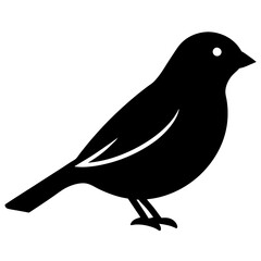finch bird black silhouette vector, Simple silhouette Design vector icon with white background. Wild bird