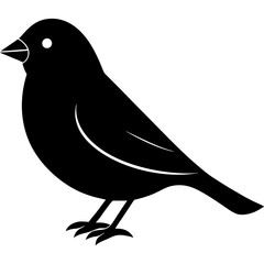 finch bird black silhouette vector, Simple silhouette Design vector icon with white background. Wild bird