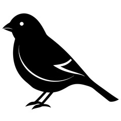 finch bird black silhouette vector, Simple silhouette Design vector icon with white background. Wild bird