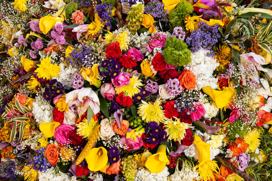 Flower silletas display - Silleteros parade in Medellin