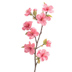 Delicate Pink Blossoms Vibrant Artistic Design Springtime Beauty,